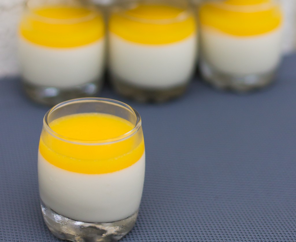 Panna cotta mangue e1403125837688 1024x838